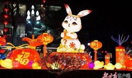 网友爆料兔子花灯视频,传统民俗魅力再现